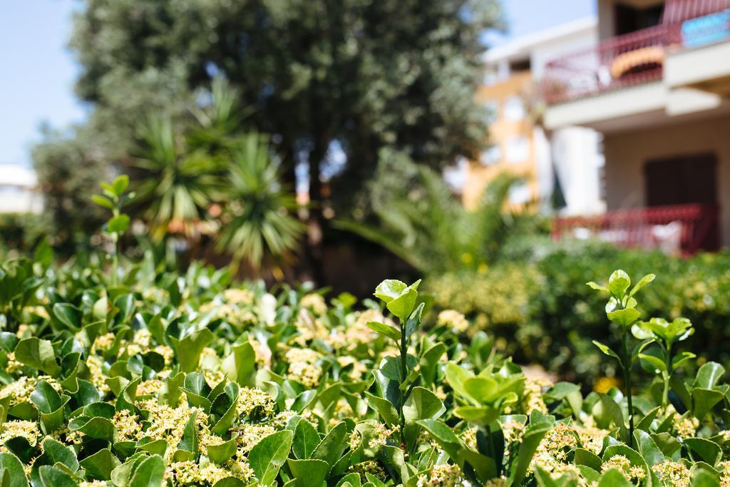 S'Arena Bianca Apartment Alghero Dış mekan fotoğraf